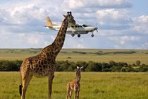 Những bức ảnh kỳ lạ khiến dân mạng thế giới há hốc mồm