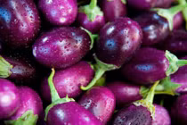 Cách dùng cà tím thay cho 10 thang thuốc bổ