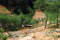 Xe tải rơi xuống vực ở Hà Giang đã hết hạn đăng kiểm 