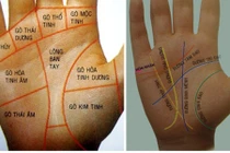 Nốt ruồi ở vị trí nào trên bàn tay là đại phú quý? 