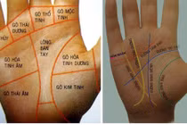 Nốt ruồi ở vị trí nào trên bàn tay là đại phú quý? 