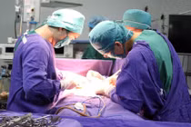 Phát hiện khối u "hóa đá" nặng gần 2kg trong tử cung