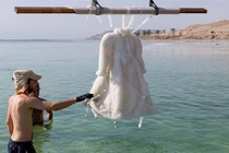 Phát sốc sự thật hiếm có khó tin nhất thế giới 