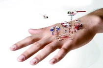 Dấu hiệu cơ thể cảnh báo chức năng gan suy giảm nghiêm trọng