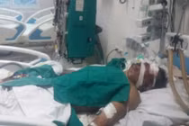 Cảnh báo: Bệnh liên cầu khuẩn từ lợn sang người đang bùng phát