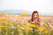 Dự đoán ngày mới 07/01/2018 cho 12 con giáp