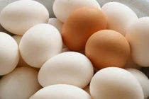 Thế nào mới được gọi là trứng sạch? 