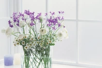 Dự đoán ngày mới 30/01/2018 cho 12 con giáp