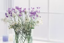 Dự đoán ngày mới 30/01/2018 cho 12 con giáp