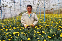 Vườn hoa bạc tỉ của đại gia nông dân Lâm Đồng