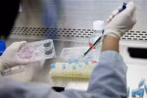 Tế bào gốc được sử dụng trong thẩm mỹ như thế nào