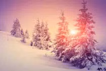 Dự đoán ngày mới 15/12/2017 cho 12 con giáp