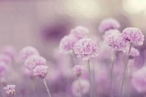 Những con giáp dù “vung tay quá trán” vẫn giàu ú sụ