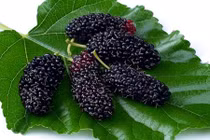 3 loại quả quý ông ăn bổ thận, quý cô ăn đẹp da