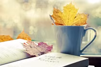 Cảnh báo nguy cơ người trẻ tự hủy hoại bản thân vì bế tắc