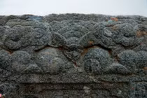 Cận cảnh ngôi mộ cổ mới phát hiện ở Sài Gòn