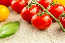 Dưỡng sinh cả đời có thể thiếu nhân sâm nhưng đừng thiếu thứ này