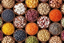 Ăn đậu chưa chín có thể bị ngộ độc?