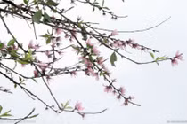 Mẹo phong thủy hóa giải vận đen dồn dập bủa vây 