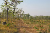 Hệ lụy dai dẳng từ sai phạm của nguyên Chủ tịch UBND tỉnh Gia Lai