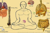 Muốn khỏe mạnh cần nắm bắt quy luật hoạt động của ngũ tạng
