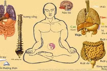 Muốn khỏe mạnh cần nắm bắt quy luật hoạt động của ngũ tạng