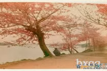 Ảnh màu đẹp về Nhật Bản dưới thời Thiên Hoàng Minh Trị