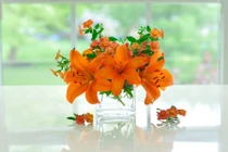 Mẹo cắm hoa hợp phong thủy giúp chiêu tài, rước bình an