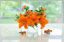 Mẹo cắm hoa hợp phong thủy giúp chiêu tài, rước bình an