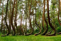 Sự thật 10 nơi tưởng như không có thật trên thế giới