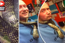 Video: Kinh ngạc cảnh rắn tự ăn thịt chính mình