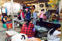 Rùng mình chợ cá độc chết người ở Thừa Thiên - Huế