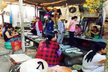 Rùng mình chợ cá độc chết người ở Thừa Thiên - Huế