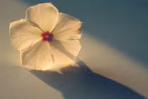 Thay đổi vận số thế nào để gặp hung hóa cát? 