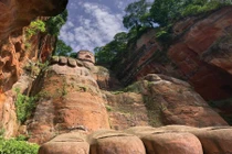 Rừng già 135 triệu tuổi mê hoặc du khách năm châu