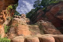 Rừng già 135 triệu tuổi mê hoặc du khách năm châu