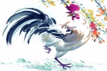 Vận mệnh tuổi Dậu ra sao trong năm Đinh Dậu 2017? 