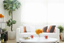 Bí quyết phong thủy nhà ở giúp chế ngự trái tim chàng