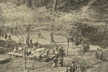 Loạt ảnh hiếm có về Nhật Bản năm 1893 