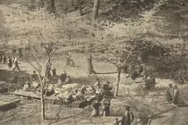 Loạt ảnh hiếm có về Nhật Bản năm 1893 