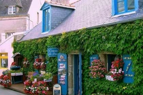 Bí quyết phong thủy cửa hàng giúp gia tăng lợi nhuận