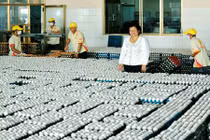 Nữ tỷ phú quê miền Tây và “cái tình đắm đuối” với...gà, vịt 