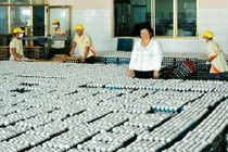 Nữ tỷ phú quê miền Tây và “cái tình đắm đuối” với...gà, vịt 