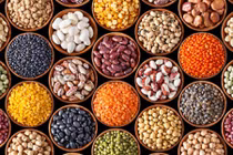 8 nguồn cung cấp protein cho người ăn chay 