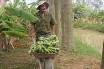 “Đột nhập” khu vườn rộng thênh thang của Giang Còi