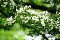 Dự đoán ngày mới 22/11/2017 cho 12 con giáp