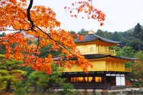 Nguyên tắc phong thủy nhà ở vượng vận trong mùa thu 