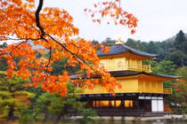 Nguyên tắc phong thủy nhà ở vượng vận trong mùa thu 