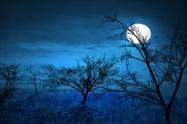 Hoa đã nở, trăng lại vừa tròn anh có còn nhớ lời nguyện ước