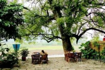 Những sai lầm trong phong thủy nhà ở khiến chàng trăng hoa